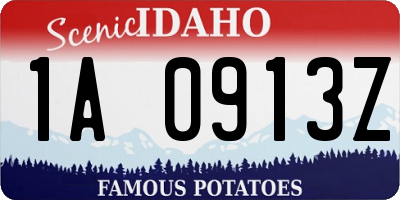 ID license plate 1A0913Z