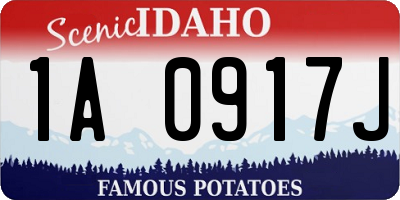 ID license plate 1A0917J
