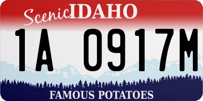 ID license plate 1A0917M