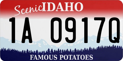 ID license plate 1A0917Q