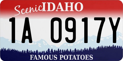 ID license plate 1A0917Y