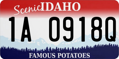 ID license plate 1A0918Q