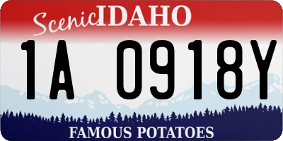 ID license plate 1A0918Y