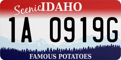 ID license plate 1A0919G