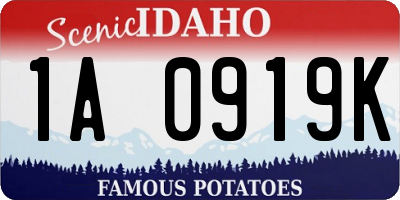 ID license plate 1A0919K