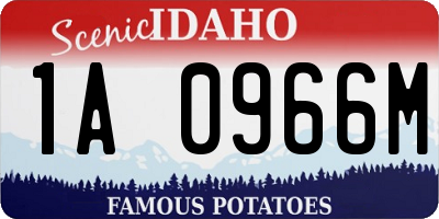 ID license plate 1A0966M
