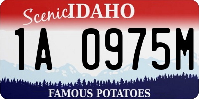ID license plate 1A0975M