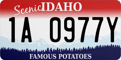 ID license plate 1A0977Y