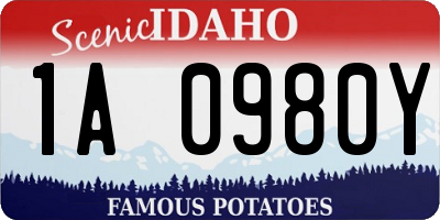 ID license plate 1A0980Y