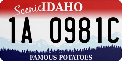 ID license plate 1A0981C