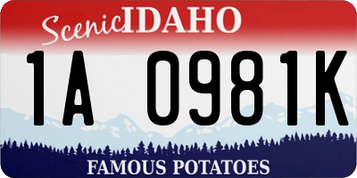 ID license plate 1A0981K