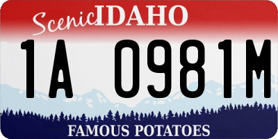 ID license plate 1A0981M