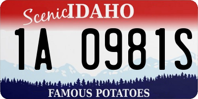 ID license plate 1A0981S