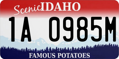 ID license plate 1A0985M