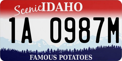 ID license plate 1A0987M