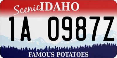 ID license plate 1A0987Z