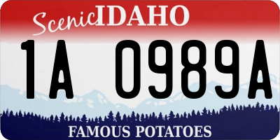 ID license plate 1A0989A