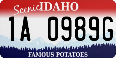 ID license plate 1A0989G