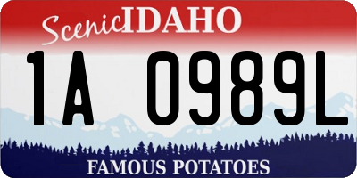 ID license plate 1A0989L
