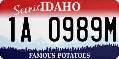 ID license plate 1A0989M