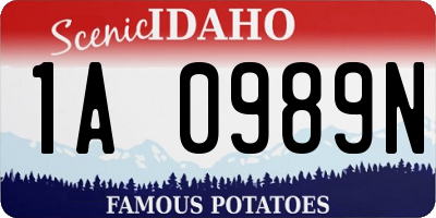 ID license plate 1A0989N