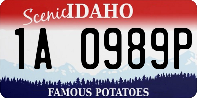 ID license plate 1A0989P