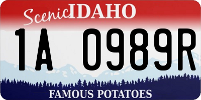 ID license plate 1A0989R