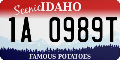 ID license plate 1A0989T