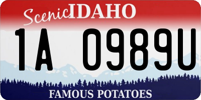 ID license plate 1A0989U