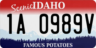 ID license plate 1A0989V