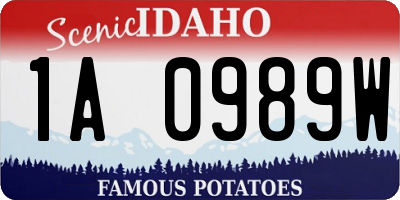 ID license plate 1A0989W