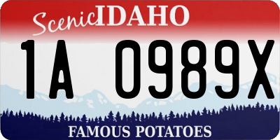 ID license plate 1A0989X