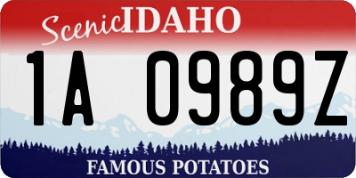 ID license plate 1A0989Z
