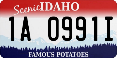 ID license plate 1A0991I