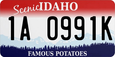ID license plate 1A0991K