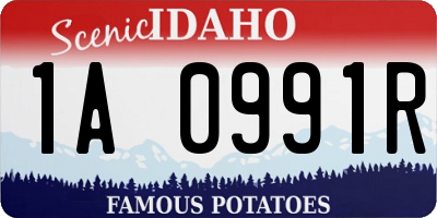 ID license plate 1A0991R