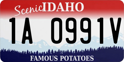 ID license plate 1A0991V