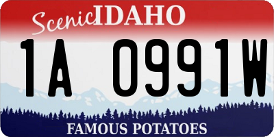 ID license plate 1A0991W