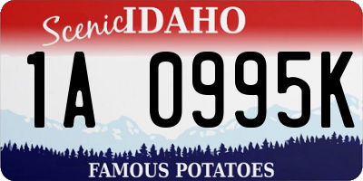 ID license plate 1A0995K