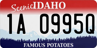ID license plate 1A0995Q