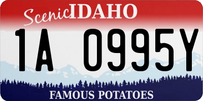 ID license plate 1A0995Y