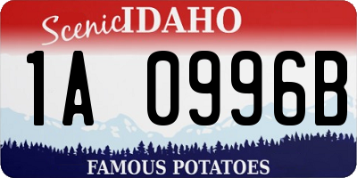 ID license plate 1A0996B