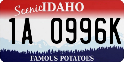 ID license plate 1A0996K