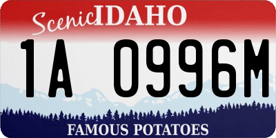 ID license plate 1A0996M
