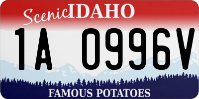 ID license plate 1A0996V