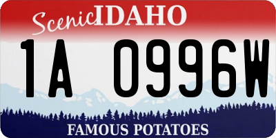 ID license plate 1A0996W