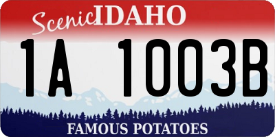 ID license plate 1A1003B