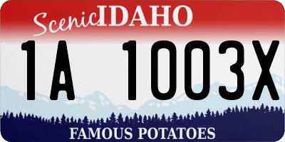 ID license plate 1A1003X