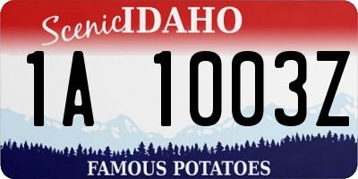 ID license plate 1A1003Z