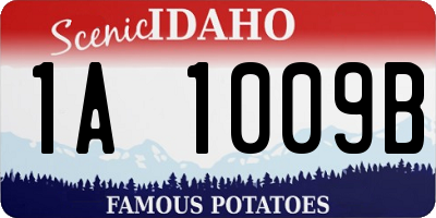 ID license plate 1A1009B